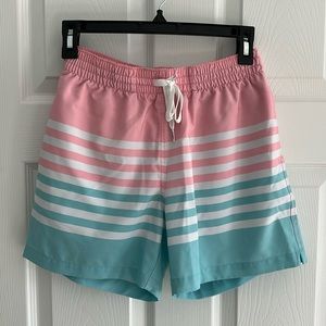 Chubbies Men’s XS 5.5” Inseam Mesh Swim Shorts, The On The Horizons